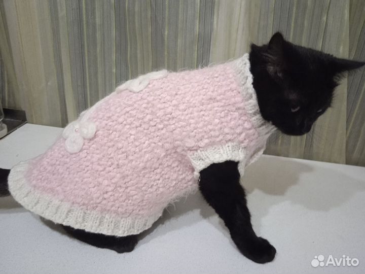 Шапки для маленьких собак