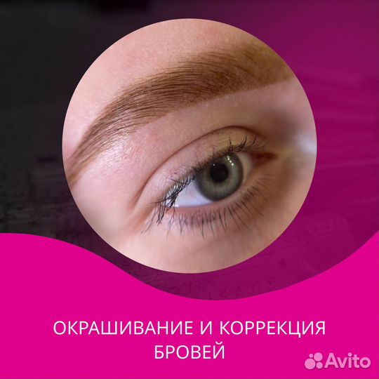 Мастер бровист