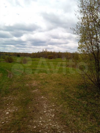 Участок 40,5 га (ИЖС)