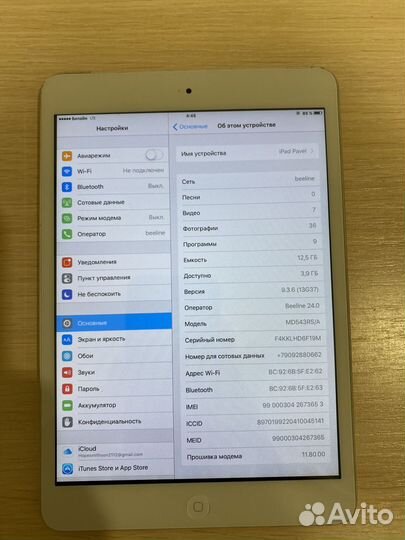 iPad mini cellular