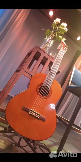 Классическая гитара 