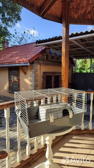 Большая клетка для крыс