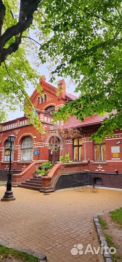 Куршская коса экскурсия, Зеленоградск, Светлогорск