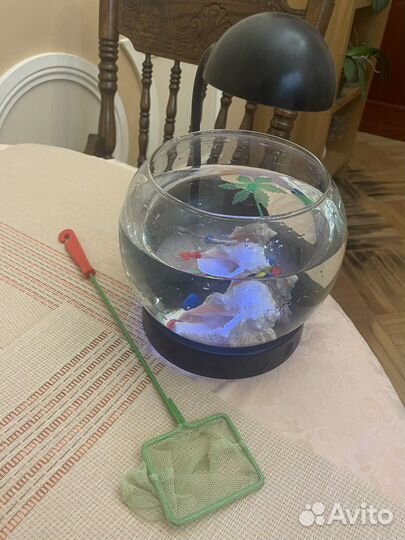 Аквариум с подсветкой 3л