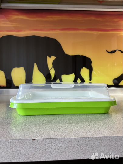 Контейнер для проращивания семян