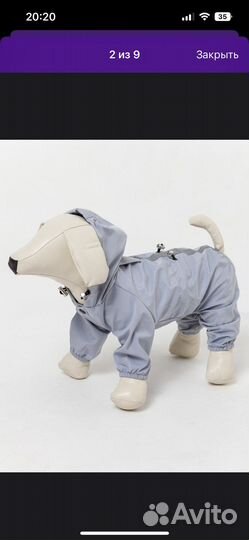 Дождевик для собак мелких пород