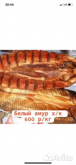 Продажа рыбы холодного копчения, вяленая