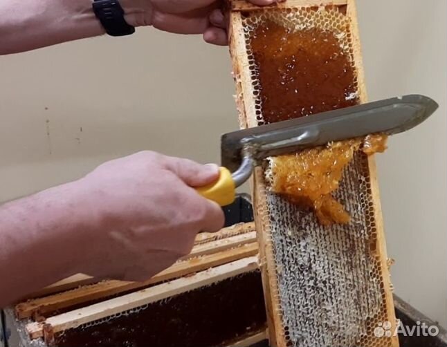 Мед 24 года натуральный оптом