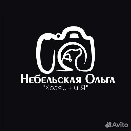 Дизайнер