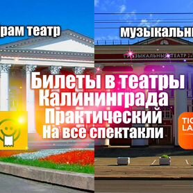 Билеты в театры Калининграда (драм. + музыкальный)