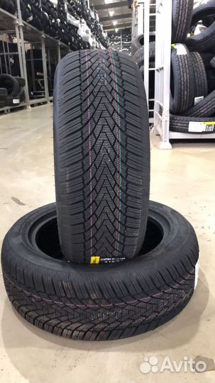 Roadmarch Winter XPro 888 215/55 R17 98V