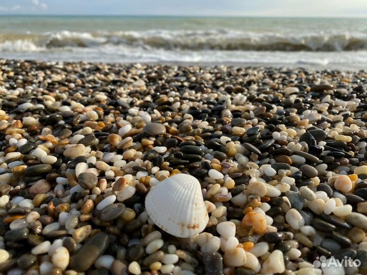 Отдых на черном море с бассейном Сочи Лоо Вардане