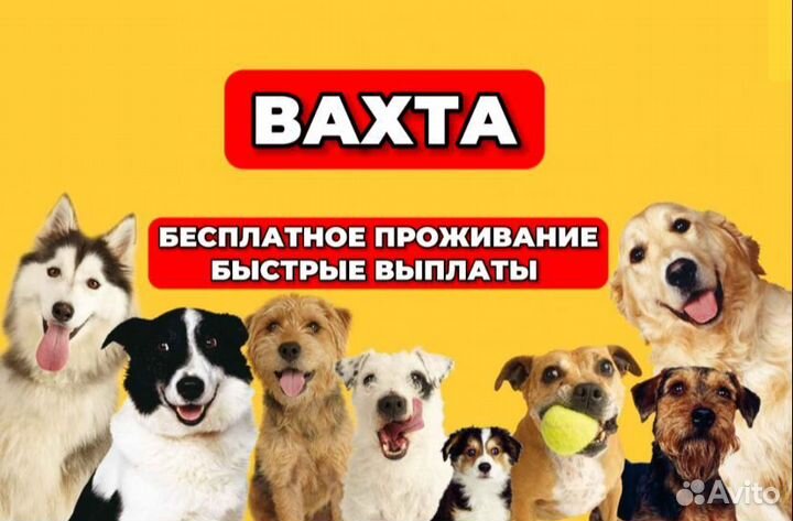 Работа для всех/Упаковка/Еженедельные выплаты