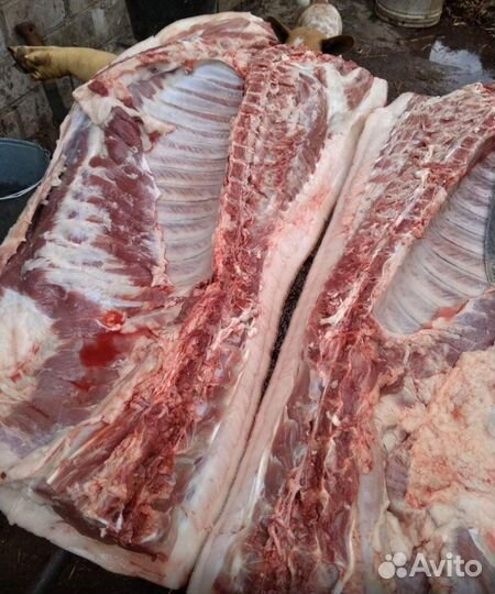 Молодая свинина,домашнего содержания.Полутушки и т