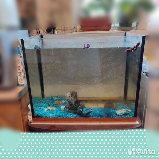 Аквариум