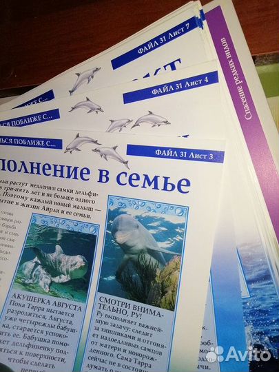 Коллекция Животные нашей планеты DeAgostini