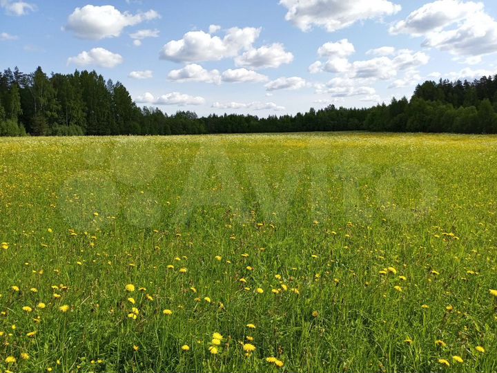 Участок 100 сот. (СНТ, ДНП)