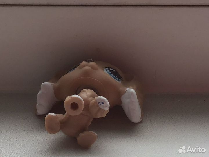 Littlest Pet Shop спаниель
