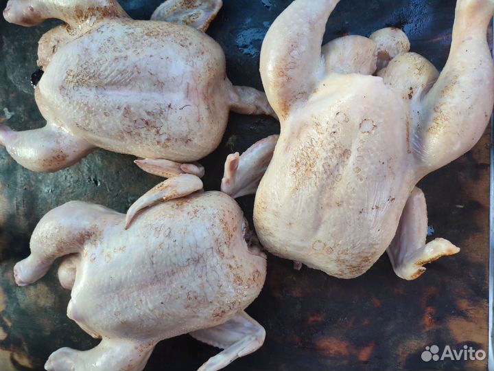 Мясо домашней индейки, кролика, утки