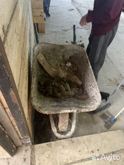 Конский навоз