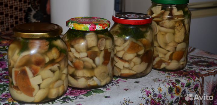 Белые грибы соленые и маринованные