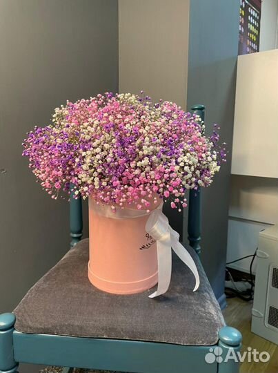 Букет из гипсофилы в коробке