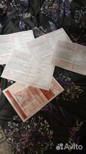 Щенки немецкой овчарки с документами