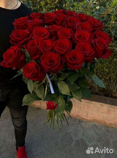 Высокие Розы с Доставкой