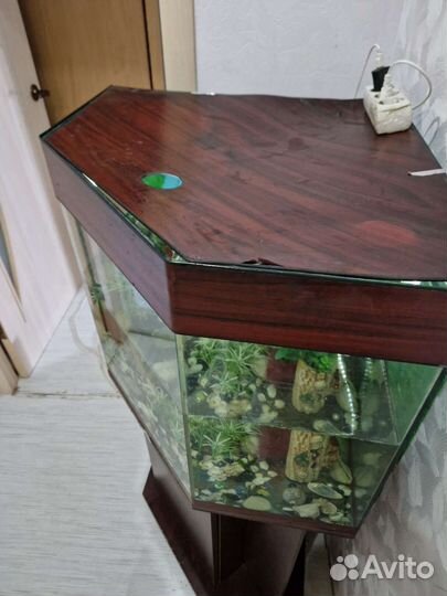 Аквариум со всеми принадлежностями