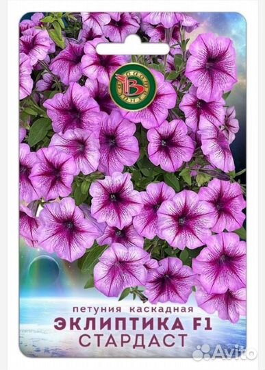 Петуния - Эклиптика F1 Стардаст