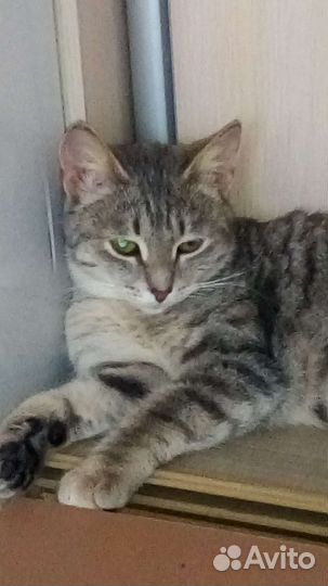 Тонечка в семью