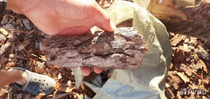 Кора сосны мульча