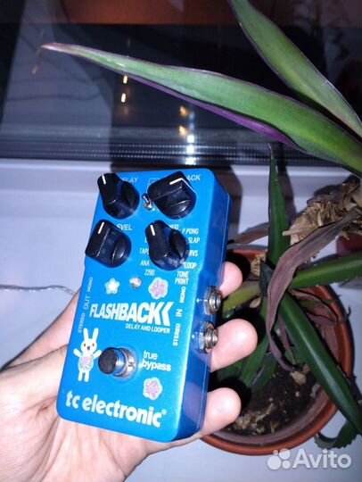 Tc electronic flashback delay дилей