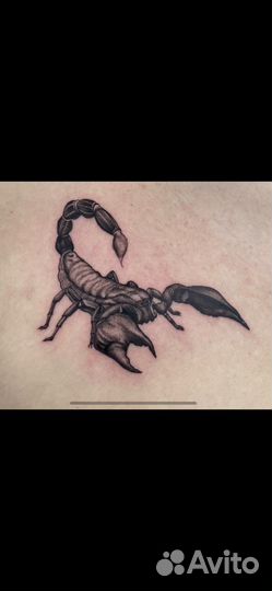 Тату, татуировки, студия