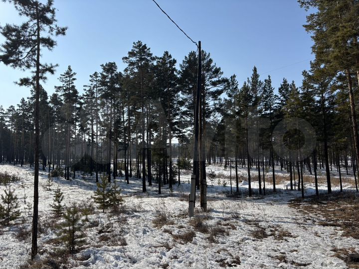 Участок 10 сот. (ИЖС)