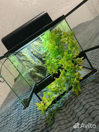 Террариум Exo Terra 30*30*30 +декор и лампы