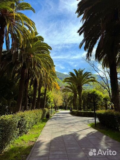 Индивидуальный тур в Абхазию/без посредников