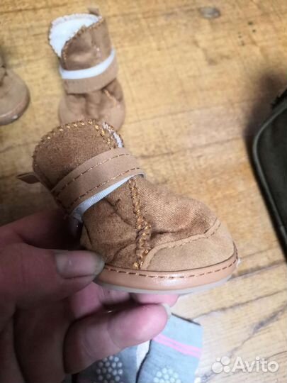 Ботинки и носки для собак