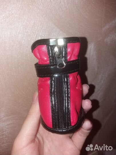 Ботиночки для собачки