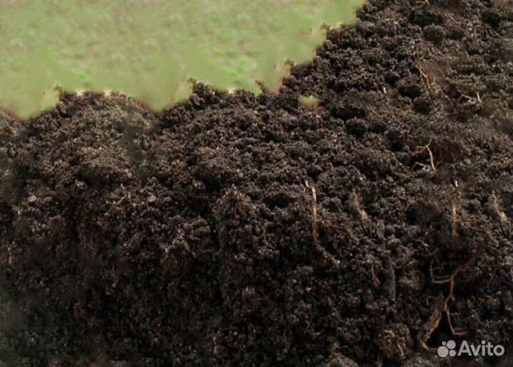 Гумус перегной коровий