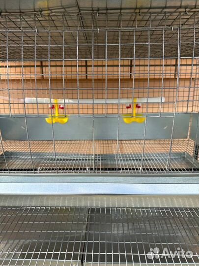 Клетка для 30 кур несушек каркасная
