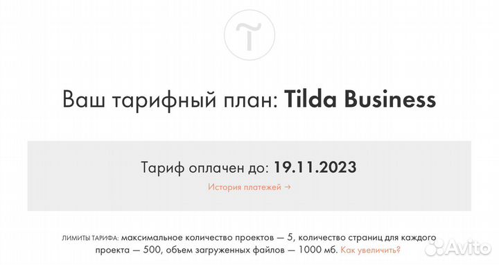 Подписка Tilda Business 1 месяц или год со скидкой