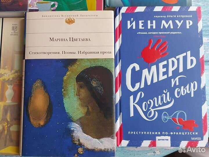 Книги Остин Цветаева Кундера Барбери Вишневский