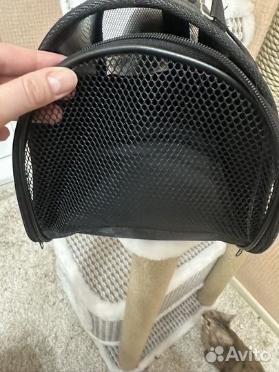 Переноска для кошек