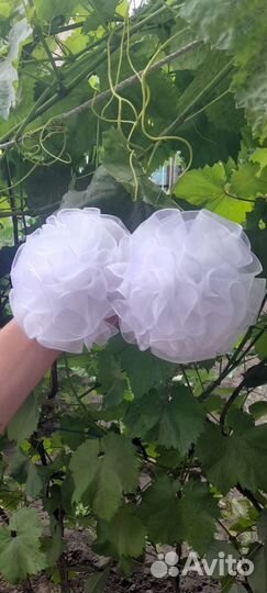 Пышные банты на первое сентября