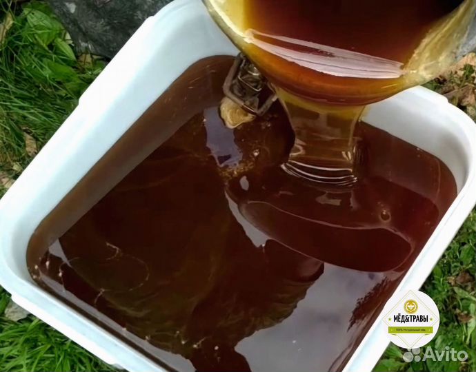 Мёд натуральный Алтайский 80 сортов Высший сорт