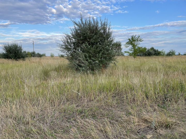 Участок 20 сот. (ИЖС)