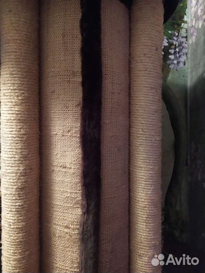 Когтеточка