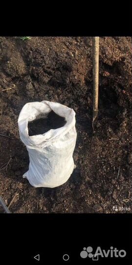 Навоз, перегной