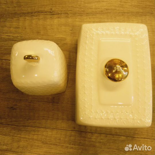 Лимонница Маслёнка Koral